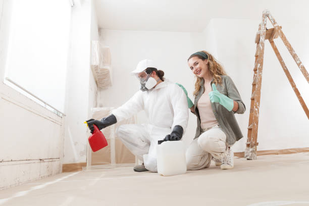 Best Crawl Space Mold Remediation  in Rocky Ford, CO